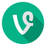 Vine